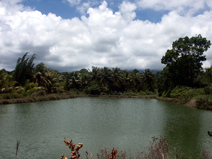 28 - Jardin des eaux 047.jpg - DCF 1.0